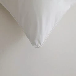 Dorma Pack Of 2 Sumptuous Down Like Back Sleeper Pillows -Lollipop 1000077074 alt02