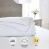 Dorma Full Forever Anti-Allergy 7.5 Tog Duvet -Lollipop 30300608