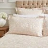 Dorma Winchester Champagne Oxford Pillowcase Pair 1 Dorma Winchester Champagne Oxford Pillowcase Pair -Lollipop 30789793