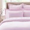 Dorma Smooth & Soft 300 Thread Count Cotton Sateen Standard Pillowcase -Lollipop 30802335