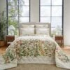 Dorma Rambling Rose Cream Cotton Bedspread -Lollipop 30827774