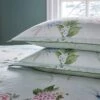 Dorma Love Bird Seafoam Oxford Pillowcase Pair -Lollipop 30828857