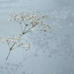 Dorma Gypsophilia Mineral Duvet Cover And Pillowcase Set 36 Dorma Gypsophilia Mineral Duvet Cover And Pillowcase Set -Lollipop 30900528 alt04