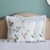 Dorma Love Bird Pillowsham 2 Dorma Love Bird Pillowsham -Lollipop 30902510